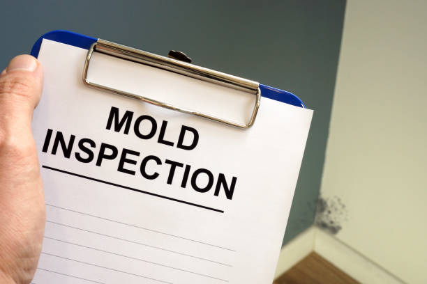 Best Mold Removal for HVAC Installations  in Lake Wildwood, CA